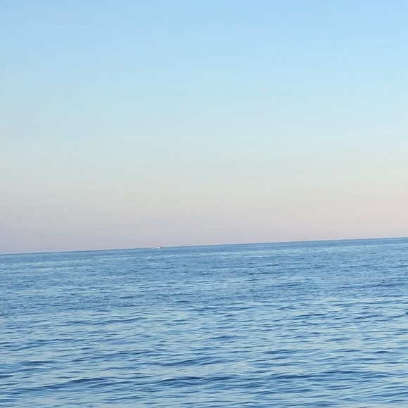 Meet your Posher, Serena - Picture 1 of 1